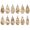 BENECREAT 12Pcs Alloy Resin Pendants with Natural Paua Shell FIND-BC0005-53-1