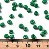 6/0 Glass Seed Beads SEED-S058-A-F280-4