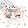 Natural Shell Beads and Sea Glass Chip Beads SSHEL-PH0001-11-1