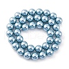 Shell Pearl Beads Strands BSHE-K015-10mm-02-4