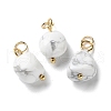 Natural Howlite Pendants STAS-C120-06G-1