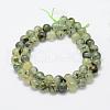 Natural Prehnite Beads Strands G-P322-48-12mm-3