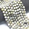 Natural White African Opal Beads Strands G-K389-A35-01-2