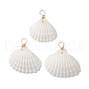 Natural Ark Shell Pendants PALLOY-JF02679-01-1