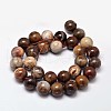 Natural Petrified Wood Round Bead Strands G-F266-08-12mm-3