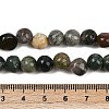 Natural Moss Agate Beads Strands G-Q060-E10-5