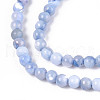 Dyed Natural Trochid Shell/Trochus Shell Beads Strands SSHEL-T017-13A-3