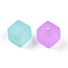Frosted Transparent Acrylic Beads FACR-N006-03-2