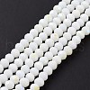 Electroplate Opaque Solid Color Glass Beads Strands EGLA-A034-P10mm-L17-2