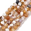Natural Fire Crackle Agate Beads Strands G-C082-A01-33-2