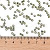 TOHO Round Seed Beads X-SEED-TR08-0244-4