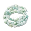 Natural Glass Beads Strands G-K395-A02-01-3