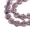 Luminous Handmade Gold Foil Glass Beads Strands FOIL-N029-01E-4