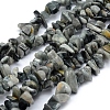 Natural Hawk's Eye Beads Strands G-P332-03-1