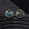304 Stainless Steel Natural Paua Shell Stud Earrings EJEW-Z103-10G-2