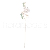 Glass Seeds Beads GLAA-K060-05G-04-2