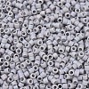 MIYUKI Delica Beads SEED-X0054-DB1598-2