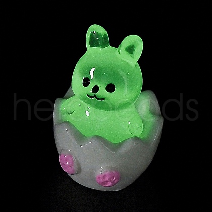 Broken Shell Animal Luminous Resin Display Decorations DJEW-M010-02E-1