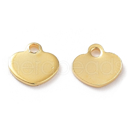 201 Stainless Steel Charms STAS-K259-08G-1