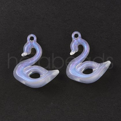 Transparent Acrylic Pendants OACR-P007-51-1