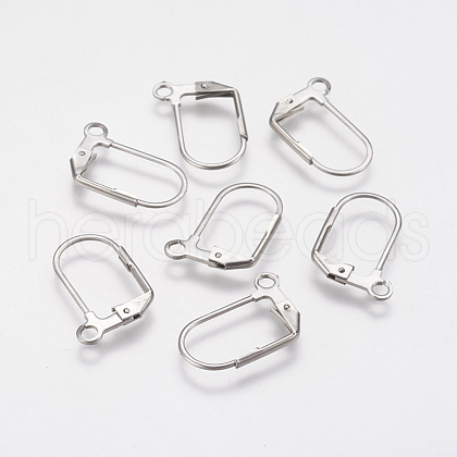 Tarnish Resistant 304 Stainless Steel Leverback Earring Findings STAS-F141-01P-1