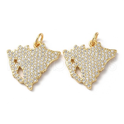 Rack Plating Brass Micro Pave Cubic Zirconia Pendants KK-M254-04G-1