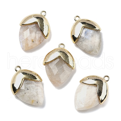 Natural Moonstone Pendants G-U019-03B-02-1