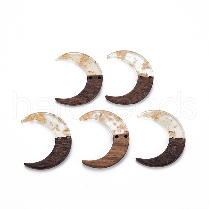 2-Hole Resin & Walnut Wood Buttons RESI-S389-080-A01-1