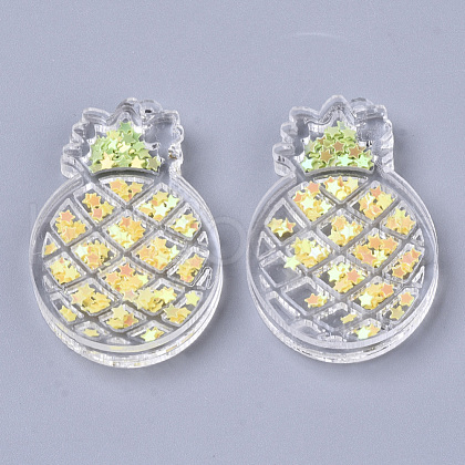 Transparent Acrylic Pendants TACR-R145-02-1