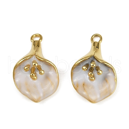 304 Stainless Steel Enamel Pendants STAS-L290-05G-1
