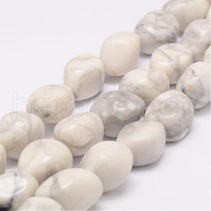 Natural Howlite Bead Strands G-K153-D15-1