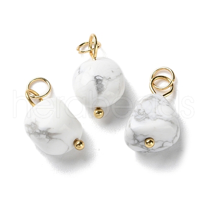Natural Howlite Pendants STAS-C120-06G-1