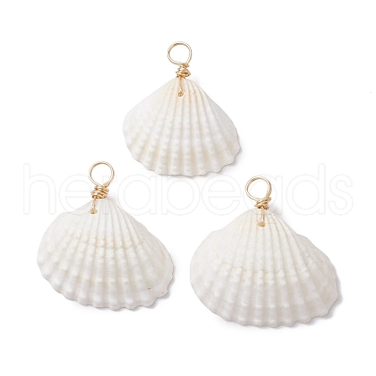 Natural Ark Shell Pendants PALLOY-JF02679-01-1