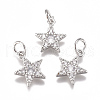 Brass Micro Pave Cubic Zirconia Charms ZIRC-F111-11-2