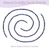 Olycraft 2 Strands Natural Sodalite Beads Strands G-OC0004-85-4