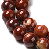 Natural Red Snakeskin Jasper Beads Strands G-H298-A02-02-4