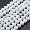 Natural Howlite Beads Strands G-D0013-65-1