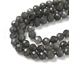 Natural Labradorite Beads Strands G-L622-C03-4mm-4