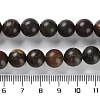 Natural Polychrome Jasper/Picasso Stone/Picasso Jasper Beads Strands G-C160-01-10mm-5