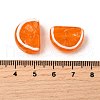 Handmade Lampwork Beads LAMP-S079-12B-4
