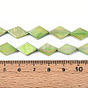Dyed Natural Freshwater Shell Beads Strands SHEL-T020-13E-4