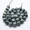 Natural Hawk's Eye Beads Strands G-G213-8mm-12-2