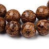 Natural Elephant Skin Jasper/Miriam Stone/Calligraphy Stone Beads Strands G-Q462-54-6mm-2