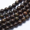 Natural Bronzite Bead Strands X-G-P370-05-8mm-1