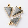 Faceted Triangle Natural Labradorite Big Pendants G-M294-03-1