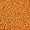 Glass Seed Beads SEED-R001-8-3