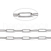 Tarnish Resistant 304 Stainless Steel Paperclip Chains CHS-D033-06P-02-2