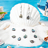 BENECREAT 10Pcs Natural Abalone Shell/Paua Shell Beads SSHEL-BC0001-21-4