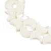 Natural White Shell Beads Strands SSHEL-10X12-2