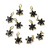 Brass Enamel Charms KK-Z114-13G-1